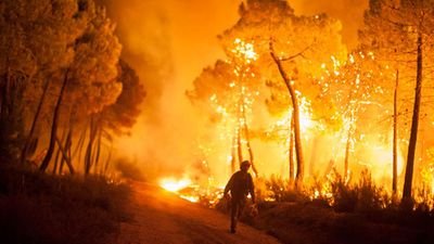 Cuenta No Oficial sobres los incendios forestales que azotan nuestro país. #IIFF