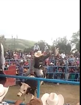 josesin18200's profile picture. 