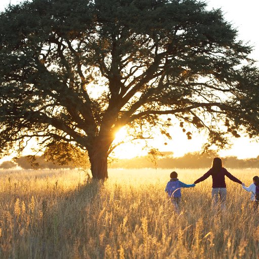 UmojaWeNow's profile picture. Founder of the Umoja Club Kennedy-King College and Student of the African World Research Institute