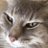 YoFansler's avatar