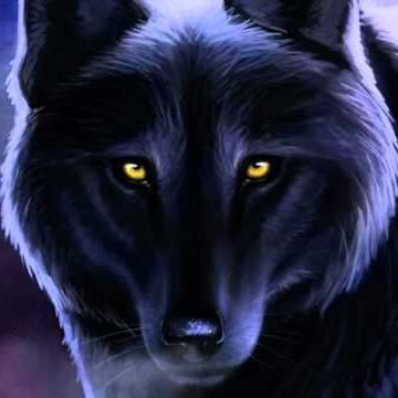 H1alphacode's profile picture. A youtuber