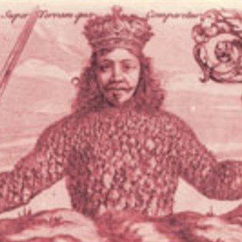 tomshmilo's profile picture. crypto-anarcho-capitalist @bitcoin retweets are watch-later list