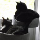 Kathy Raines - @klraines - Twitter