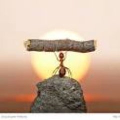 neml220's profile picture. 