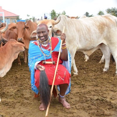 msoikan's profile picture. Climate Change. Social Sustainability and Inclusion. Indigenous Issues. Pastoralist. Views are my own.