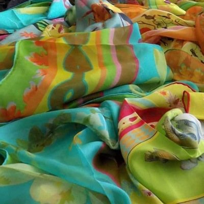 casch1's profile picture. 