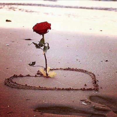 ﴿ احْفَظْ اللَّهَ يَحْفَظْكَ ﴾