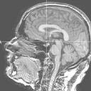 Tim Radford - @tim_radford - Twitter