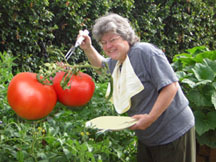 tomatowhisperer's profile picture. St. Vital will always be home.