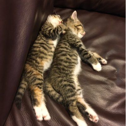 1D_Forever1997's profile picture. 