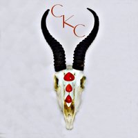 Clever Kim's Curios (@cleverkims) 's Twitter Profile