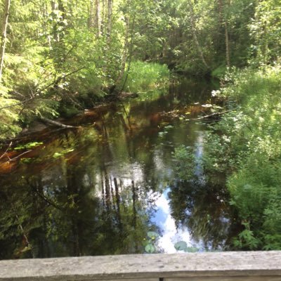 Neonomide's profile picture. Ecomodernism, stoic wellness, pragmatic transhumanism, cultural studies (psych/health/gender). Pic above from Koli National Park, Finland.