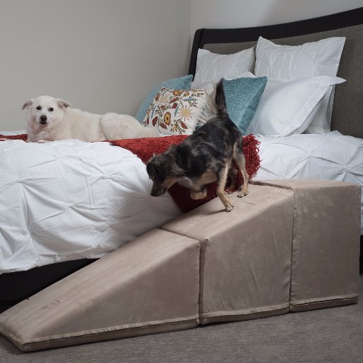 Creator of the world's only high-density foam #dog #ramps. Our amazing doggy ramps are ultra low impact and easy on joints and bones! https://t.co/4o2OSRYWtK