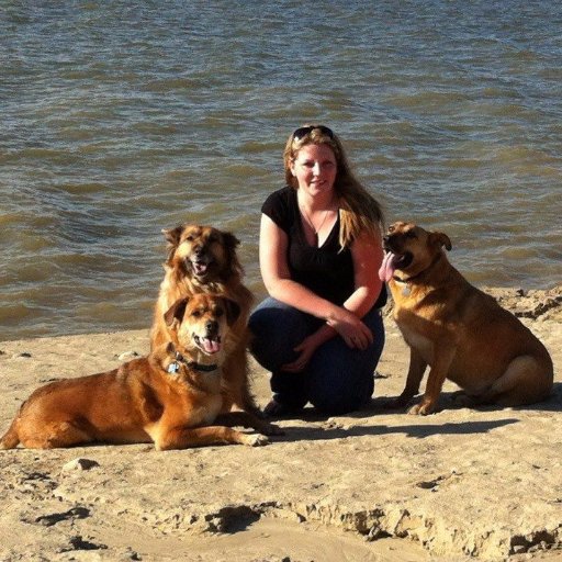 #dogtrainer & #doggeek working in the #petindustry providing consulting services and articles. Regular volunteer in #rescue. #dogmom to 4 woofers