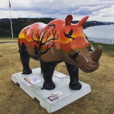 I'm Tranquillity Rhino of @paigntonZoo Great Big Rhino Trail on the streets of Exeter & Torbay, from 30th July - 9th October 16. Sponsored by @tamartelecom