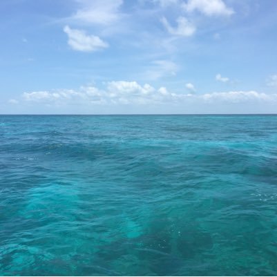 surge_miami's profile picture. Miami. Sports. Travel.