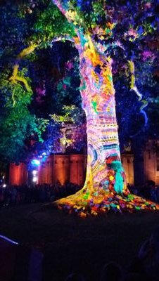 maasleeuw's profile picture. 