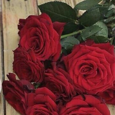 Aljjooorryyy's profile picture. 