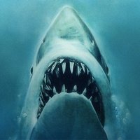 barracuda blogspot (@barracudablog) 's Twitter Profile