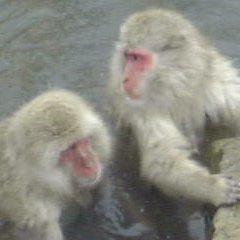 temporarypost19's profile picture. 負けないで。もう少し。