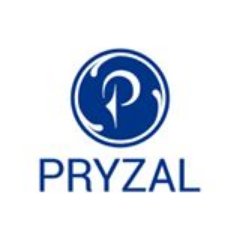 Pryzal is an End to End IT Recruitment Solution, Human resource staffing and consultancy firm based in Bangalore specialized in solving hiring challenges