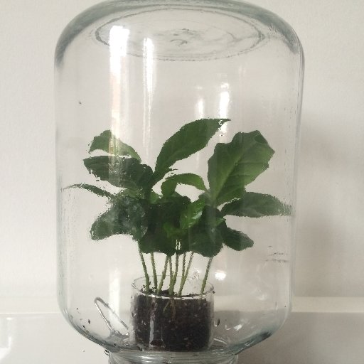 DieterBruyneel's profile picture. tweets over #film #podiumkunsten #teksten #bedenkingen