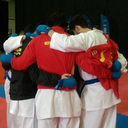 Twitter oficial de la Selección Española de Karate - Official Twitter account for Spain's National Karate Team | #ESPKarateTeam