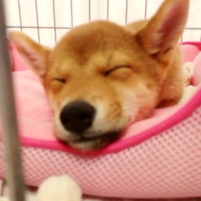 ばやし♡ Profile