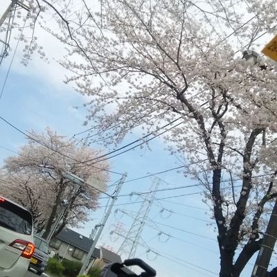 月詠魅α三年後まで低浮上さんのプロフィール画像