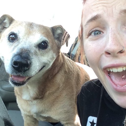 Edith Cowan University- Youth Work Student.
Animal lover