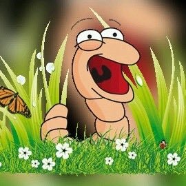 Vermi Trade is an environmentally-friendly company that specializes in the conversion of large volumes of organic waste using earthworms. info@vermitrade.co.za