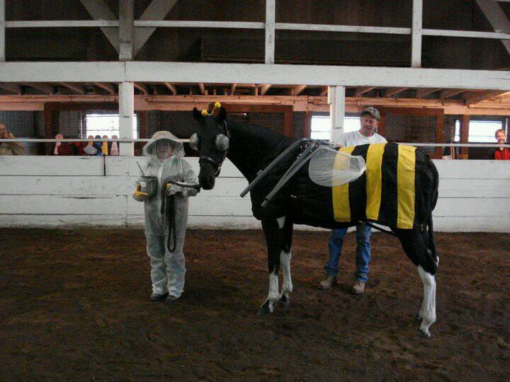 married to love of my life, proud mom of 3 awesome sons, grandmother, horse woman