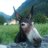 il_mencamassi78's profile image