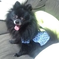 Kaz92 (@kaz92104) 's Twitter Profile
