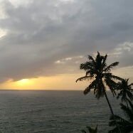 pankil shah (@pankils) 's Twitter Profile