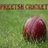 Preetsh Cricket