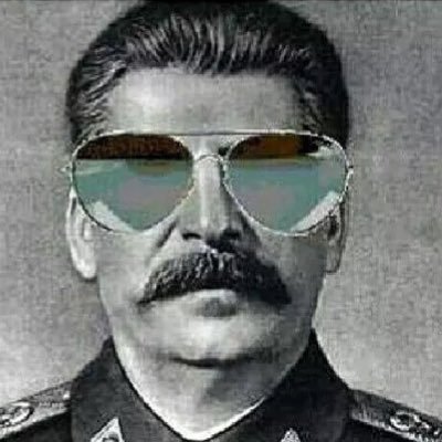 I do not actually support Stalin. He was a terrible human being. However, he knew how to rock a mustache, and that is what we honor here