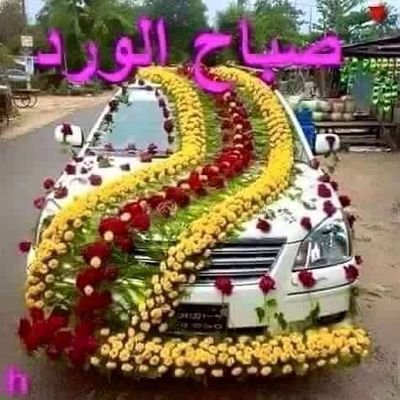 alharyry123's profile picture. ‏‏والله اني ف الموادع ما رضيت !
منكسر صمتي وادآري عبرتي ،

بطلبك حاجة مَ دام انك ( قويت ) ،
رد لي قلبي ورجعّ  ( بسمتي ) .