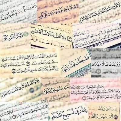 snotb5's profile picture. ‏‏‏‏لا إله الا انت سبحانك إني كنت من الظالمين