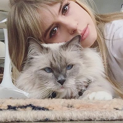 screanwolf's profile picture. Nous protégeons ceux qui ne peuvent pas se protéger leurs-même.
Nós protegemos quem não pode se proteger.