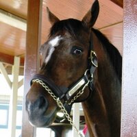 Noiso (@noiso) Twitter profile photo