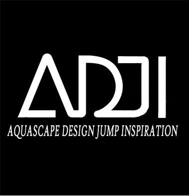 desing aquascape