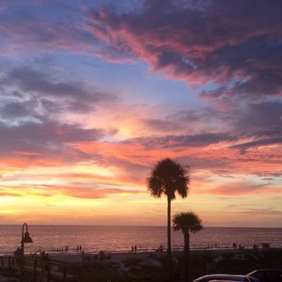 Raysosunshine's profile picture. 🇺🇸❤️🤍💙🇺🇸🌴🐊🇺🇸