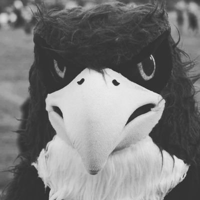 harley197731's profile picture. 