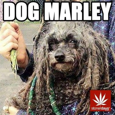 marcosadejesus5's profile picture. 