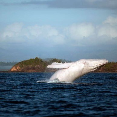 krfn9620's profile picture. 