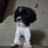 kent_1981's profile image