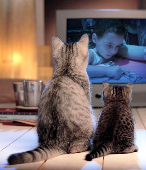 modymd2002's profile picture. 