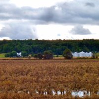 Crowley's Ridge (@crowleys_ridge) 's Twitter Profile