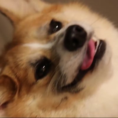 Entertainment Star Wars TV Shows Minecraft Music Pop Cute animals Animals video games knives create